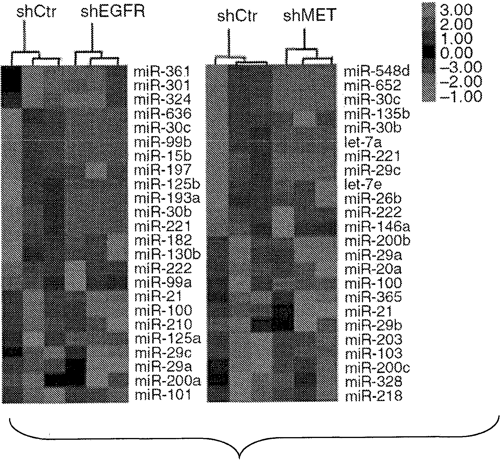 Mirnas useful to reduce lung cancer tumorigenesis and chemotherapy resistance and related compositons and methods