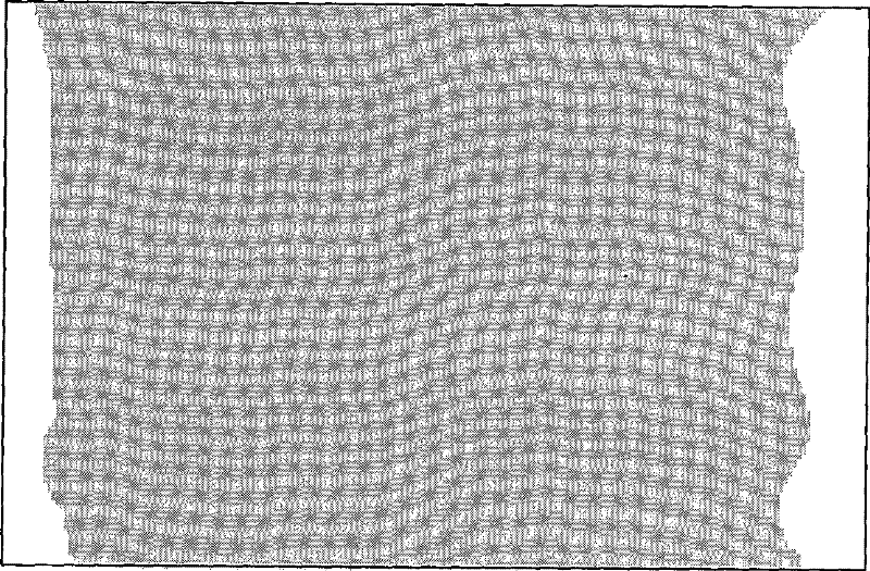 White edge detecting method for hot galvanizing alloying plate