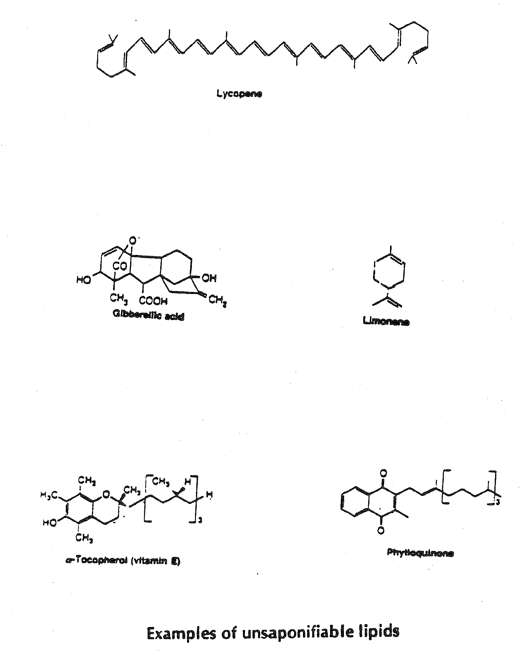 Use of anabolic agents, Anti-catabolic agents, antioxidant agents and analgesics for protection, treatment and repair of connective tissues in humans and animals