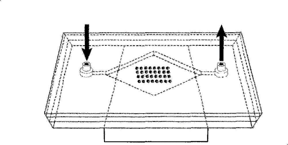 Magnetic particle micro array apparatus for high throughput detecting biomacromolecule and its use method