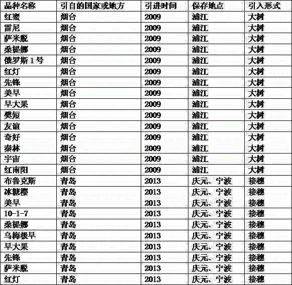 Management method for planting adult sweet cherry trees at warm regions in south of China