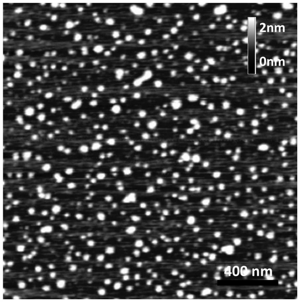 Preparation of boron-nitrogen-doped graphene quantum dot and application of boron-nitrogen-doped graphene quantum dot in drugs for boron neutron capture therapy