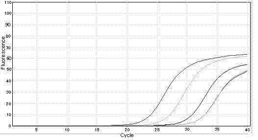 Real-time fluorescent quantitative PCR detection method of human breast cancer genotype