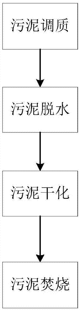 Sludge dewatering, drying and incinerating system and method