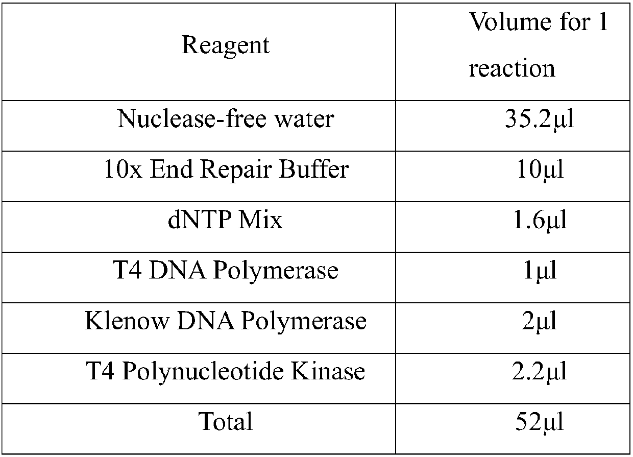 EBV capture probe and method for acquiring EBV genome sequence information in sample