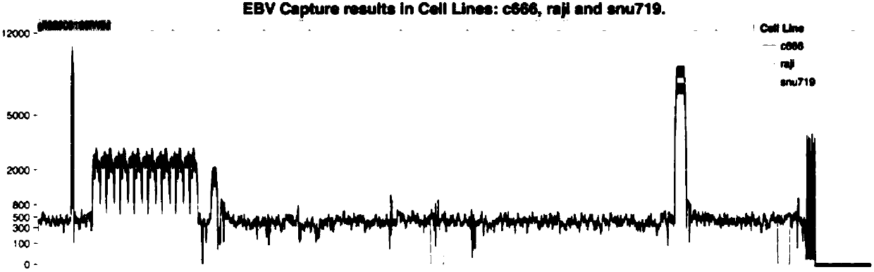 EBV capture probe and method for acquiring EBV genome sequence information in sample