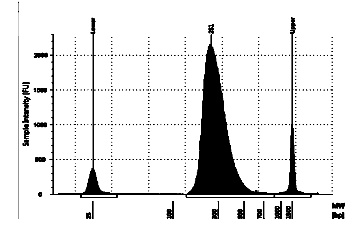 EBV capture probe and method for acquiring EBV genome sequence information in sample