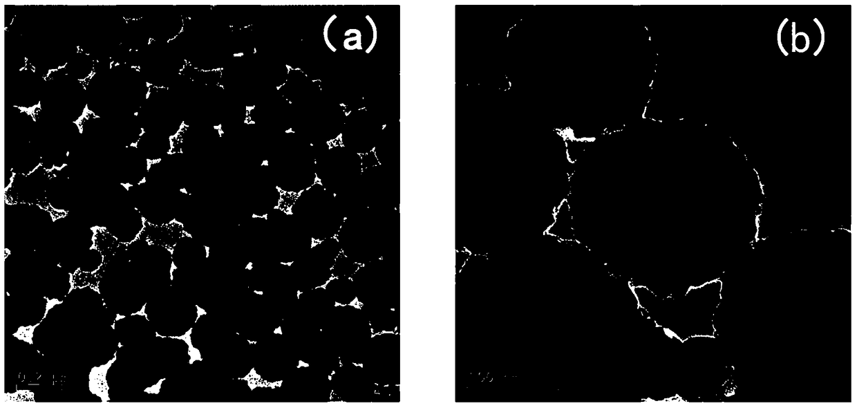 A kind of magnetic nanocomposite material and its preparation method and application