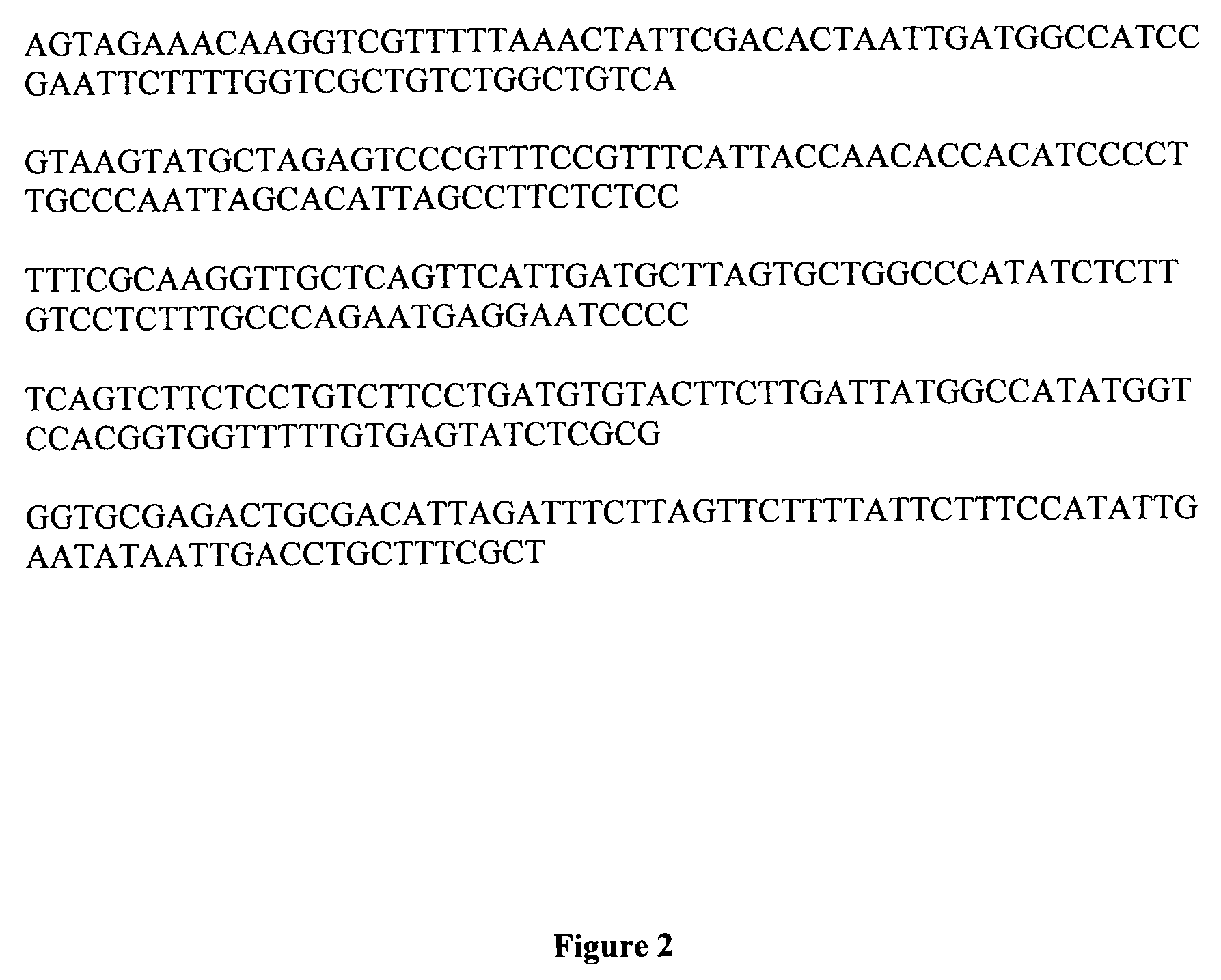 Defective interfering virus