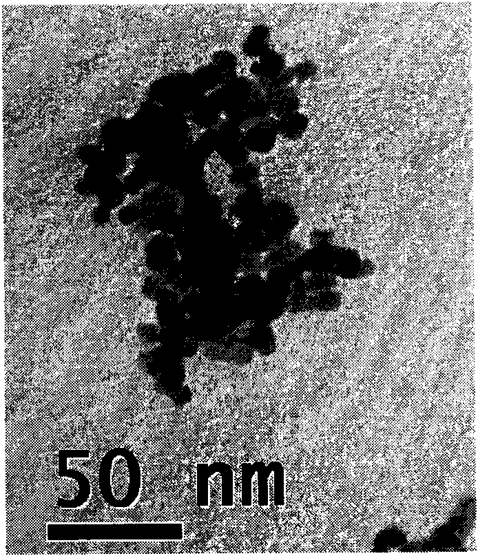 Method for preparing nano-doped tin oxide sol