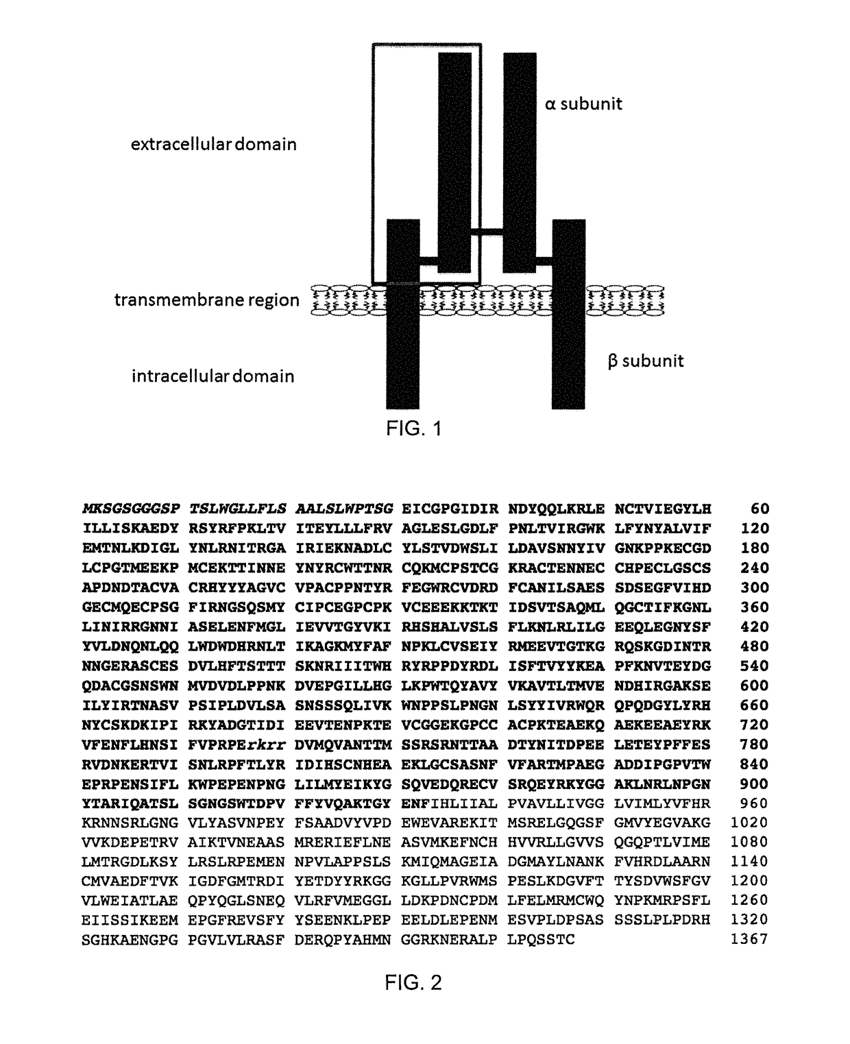 Insulin-like growth factor 1 receptor-specific antibodies and uses thereof