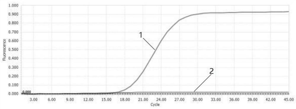 Primer and probe for real-time fluorescence quantitative PCR detection of two genotypes of duck circovirus