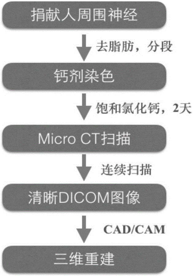 Method for increasing definition of Micro CT of peripheral nerve image