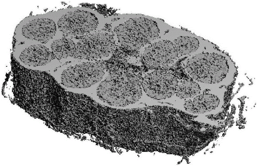 Method for increasing definition of Micro CT of peripheral nerve image