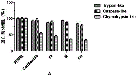 Tripeptide epoxy ketone compound constructed by heterocycle as well as preparation method and application thereof