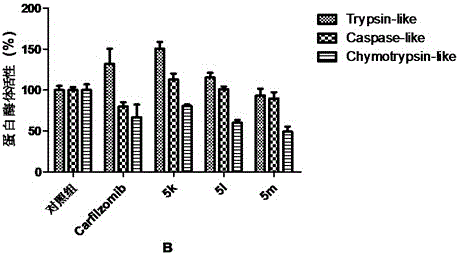 Tripeptide epoxy ketone compound constructed by heterocycle as well as preparation method and application thereof