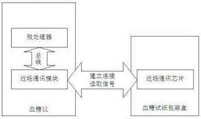 Blood glucose detection system without code adjustment