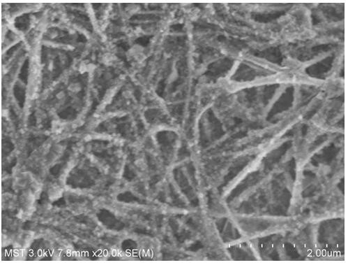 Preparation method of lactic acid biosensor