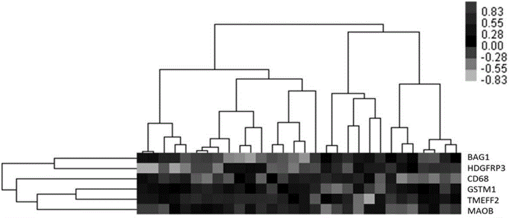 Genes for prognosis of triple negative breast cancer and application thereof