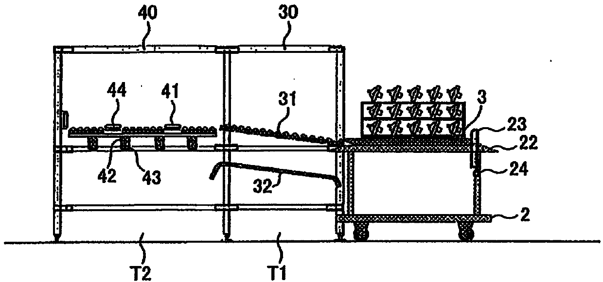 Carrying system