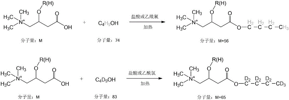 All-isotope internal standard mass spectrometry quantitation method for carnitine-based compounds