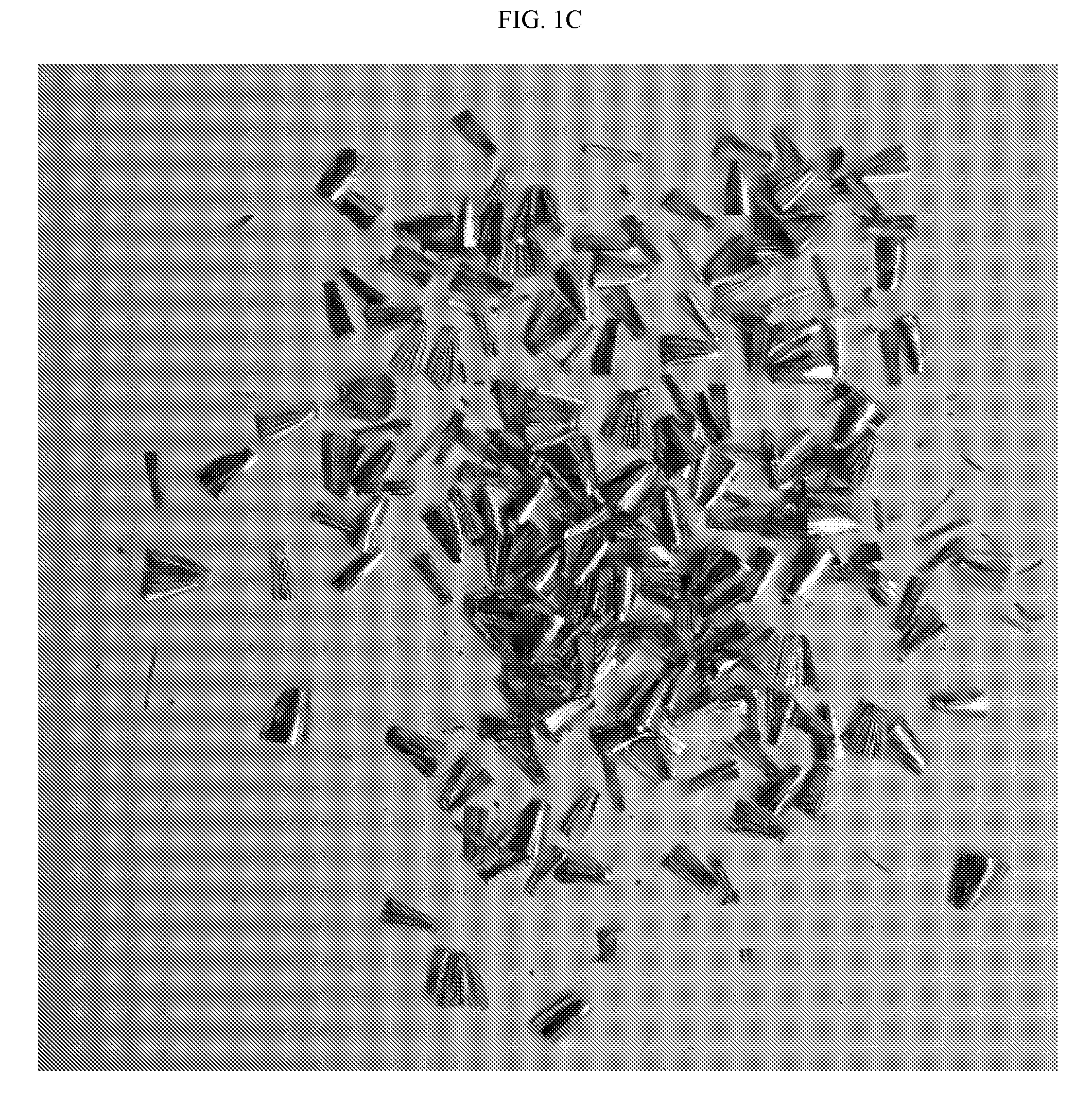 Lead-Free Free-Cutting Aluminum Brass Alloy And Its Manufacturing Method