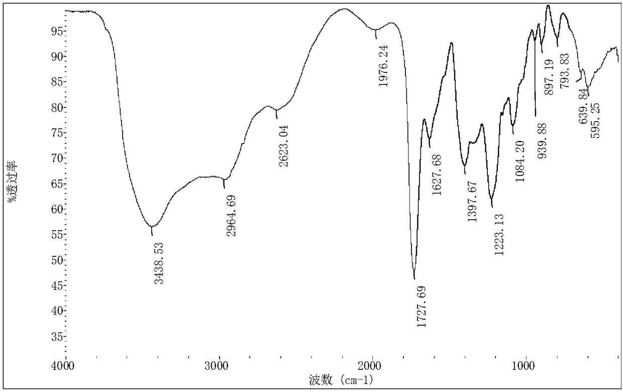 Citric acid cross-linked chitosan hydrogel and preparation method thereof