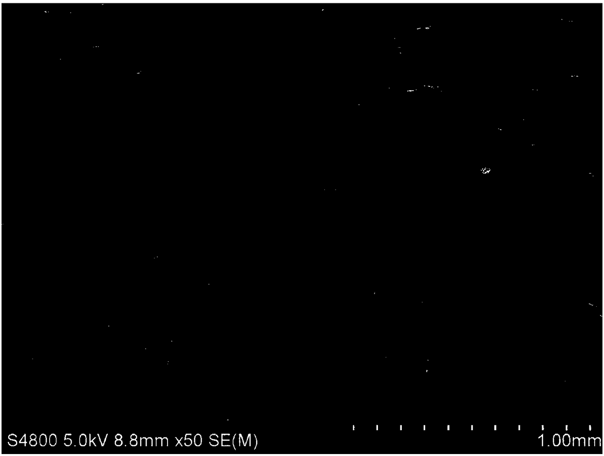 Citric acid cross-linked chitosan hydrogel and preparation method thereof