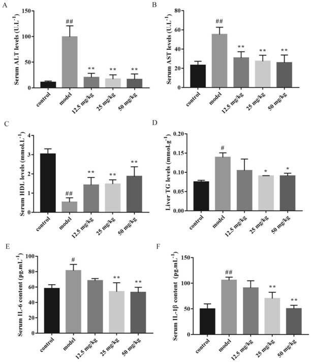 Application of herpetrione extract in preparation of medicine for treating non-alcoholic fatty liver disease