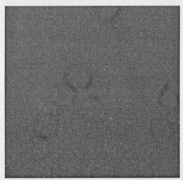 Cell opto-acoustic microscopic imaging method and device thereof