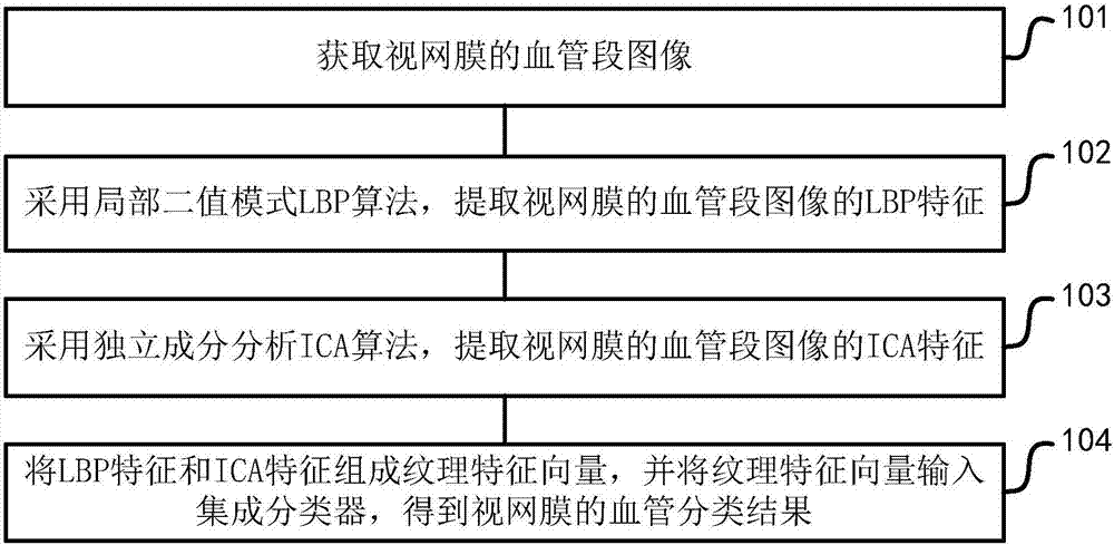 Retinal blood vessel classification method and device