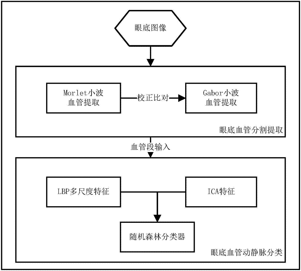 Retinal blood vessel classification method and device