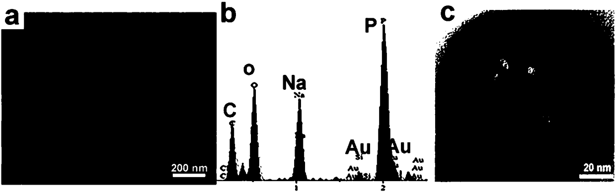 Nano-compound and its preparation method and application