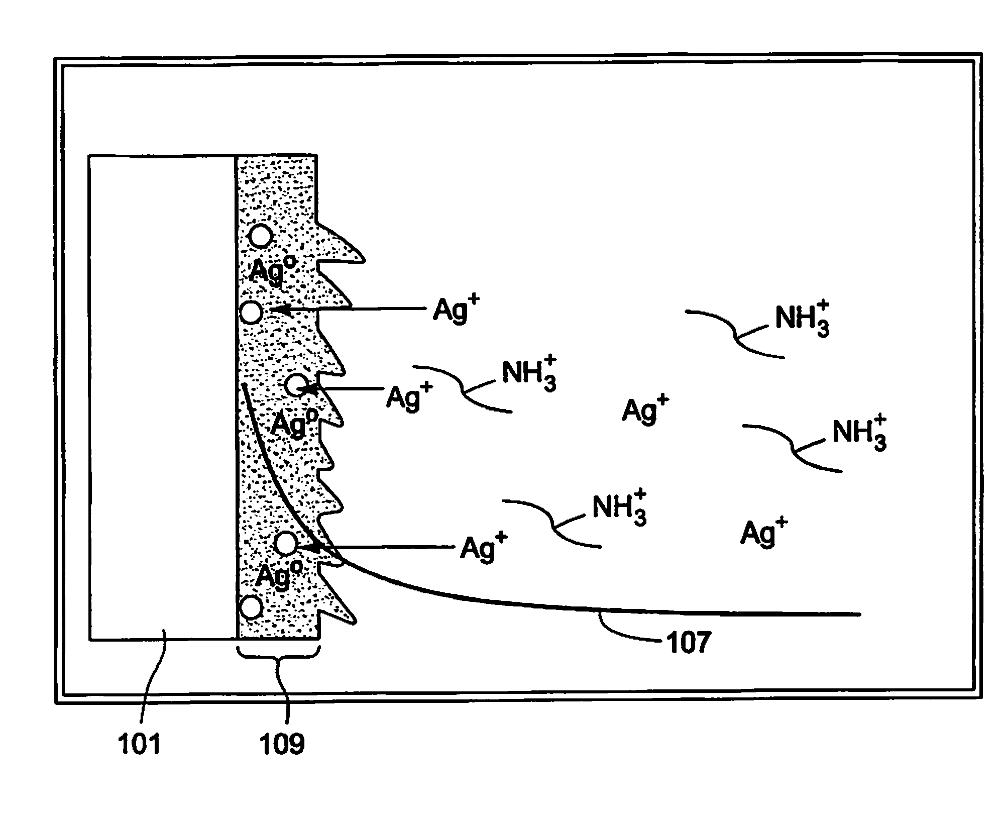 Electrochemical deposition of noble metal and chitosan coating