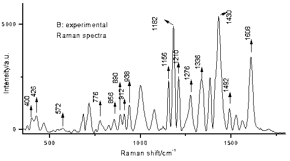 SER rapid detection method for patent blue V in beverage