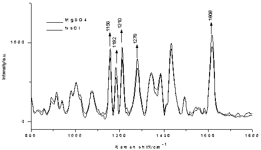 SER rapid detection method for patent blue V in beverage