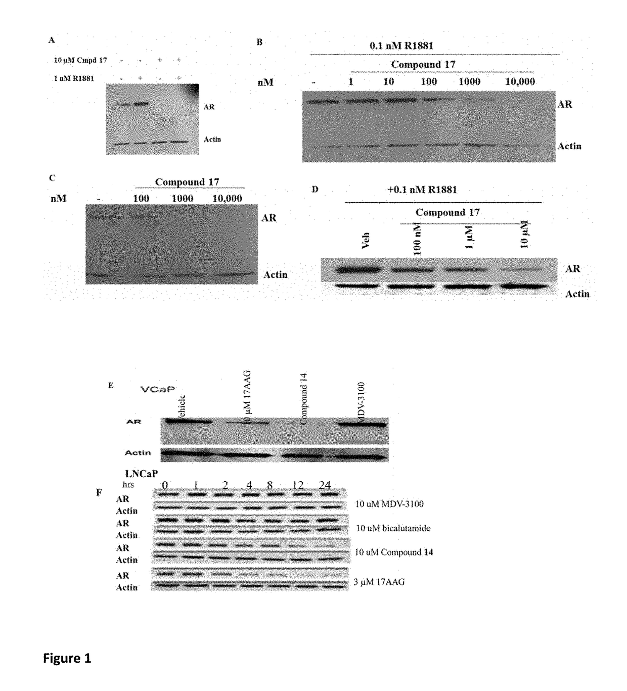 Selective androgen receptor degrader (SARD) ligands and methods of use thereof