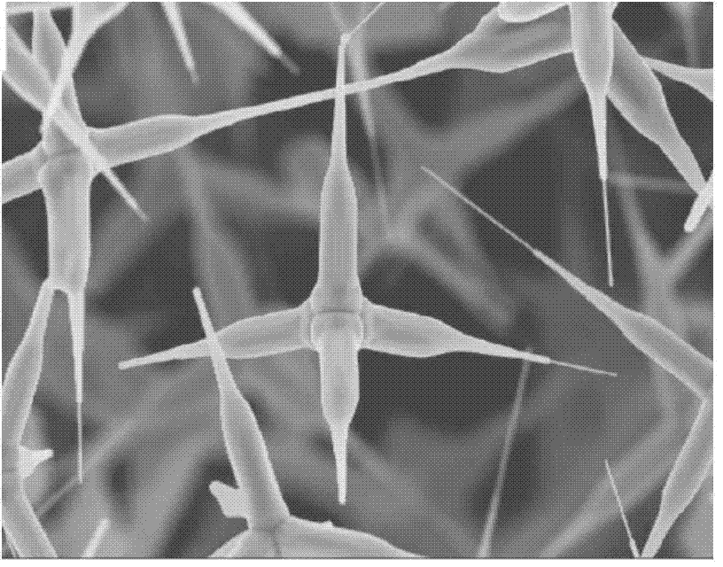 Antistatic thermal control coating composition, preparation method and applications thereof