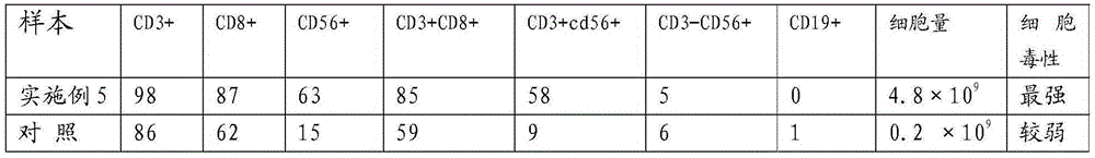 T cell activated by bispecific antibody as well as preparation method and application thereof