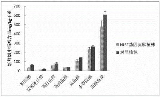 Tobacco squalene epoxidase protein, tobacco squalene epoxidase gene and its application