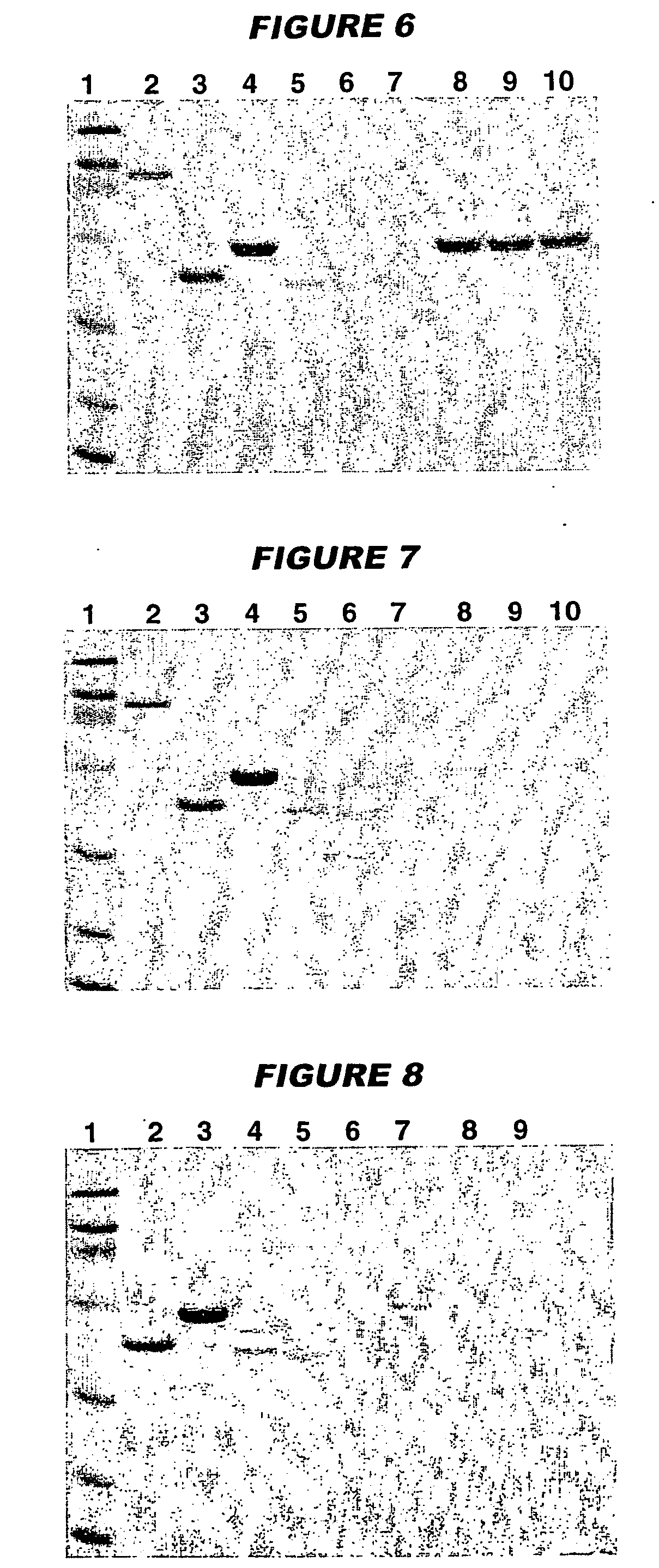 Vaccines comprising aluminium adjuvants and histidine