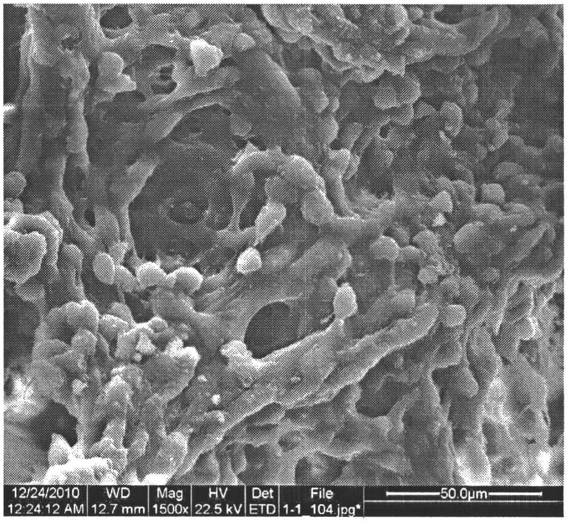 Three-dimensional cell dynamic culture reactor