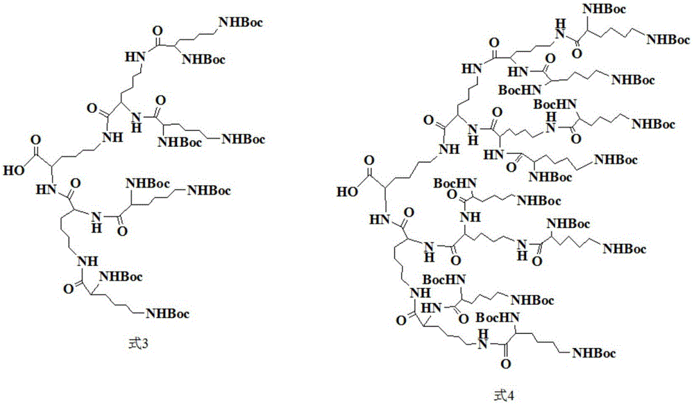 Chitosan/polylysine dendritic macromolecular core-shell nanoparticles and preparation method thereof