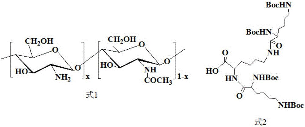 Chitosan/polylysine dendritic macromolecular core-shell nanoparticles and preparation method thereof