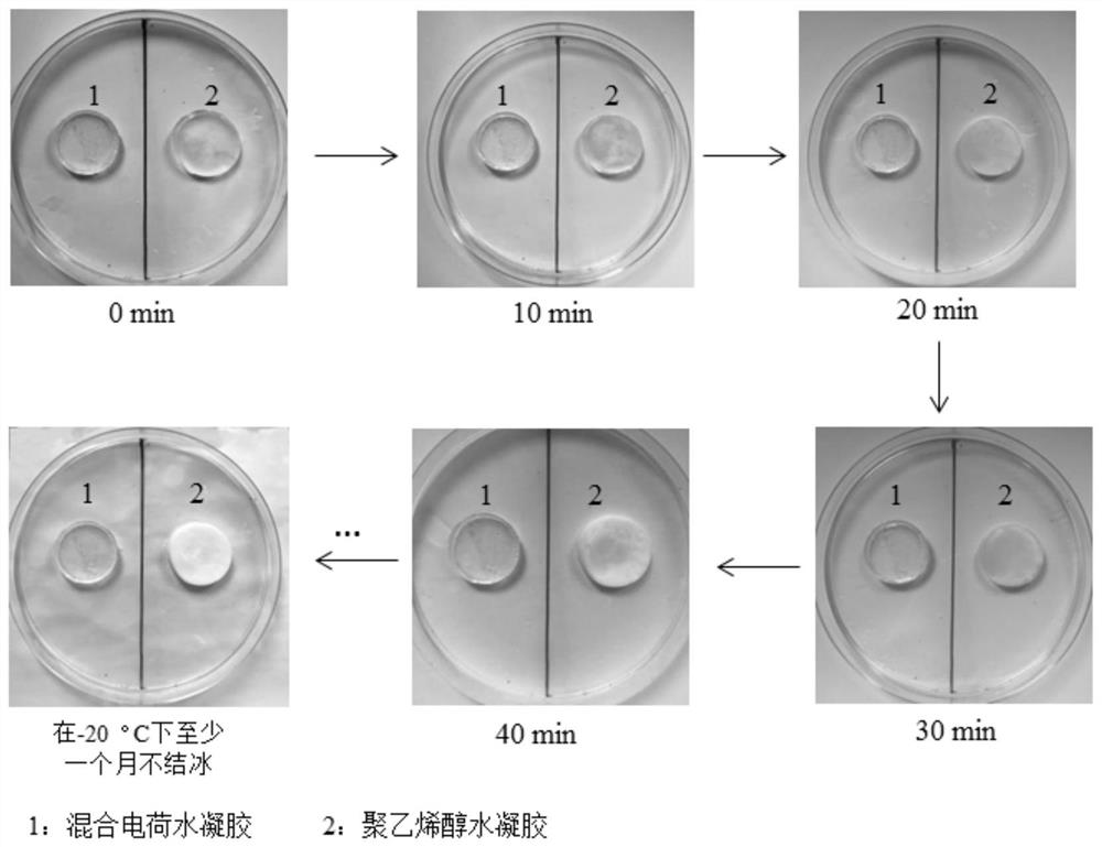 Mixed charge antifreeze hydrogel and preparation method thereof