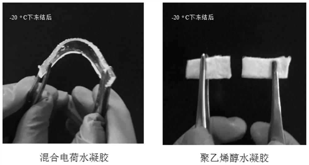 Mixed charge antifreeze hydrogel and preparation method thereof