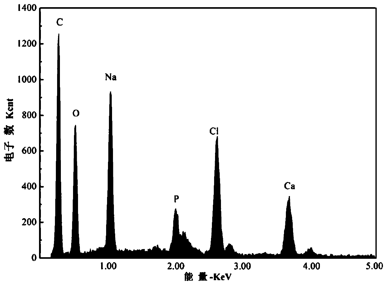 Modified nano chloroapatite and its preparation method