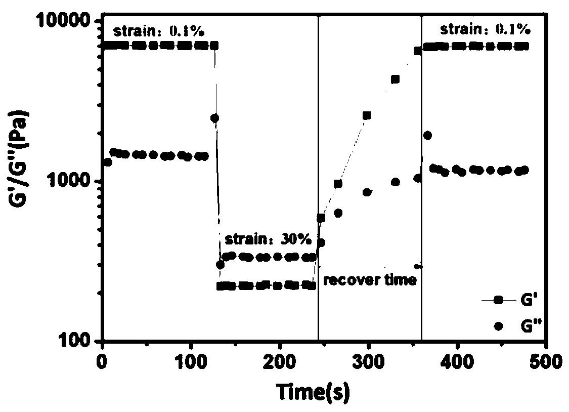 Silver nanoparticle composite hydrogel as well as preparation method and application thereof