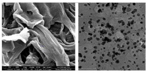 Silver nanoparticle composite hydrogel as well as preparation method and application thereof