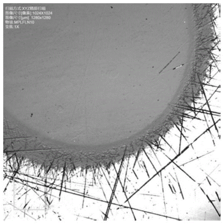 A Method for Detecting Characteristic Parameters of Subsurface Damage Degree of Spherical Optical Elements